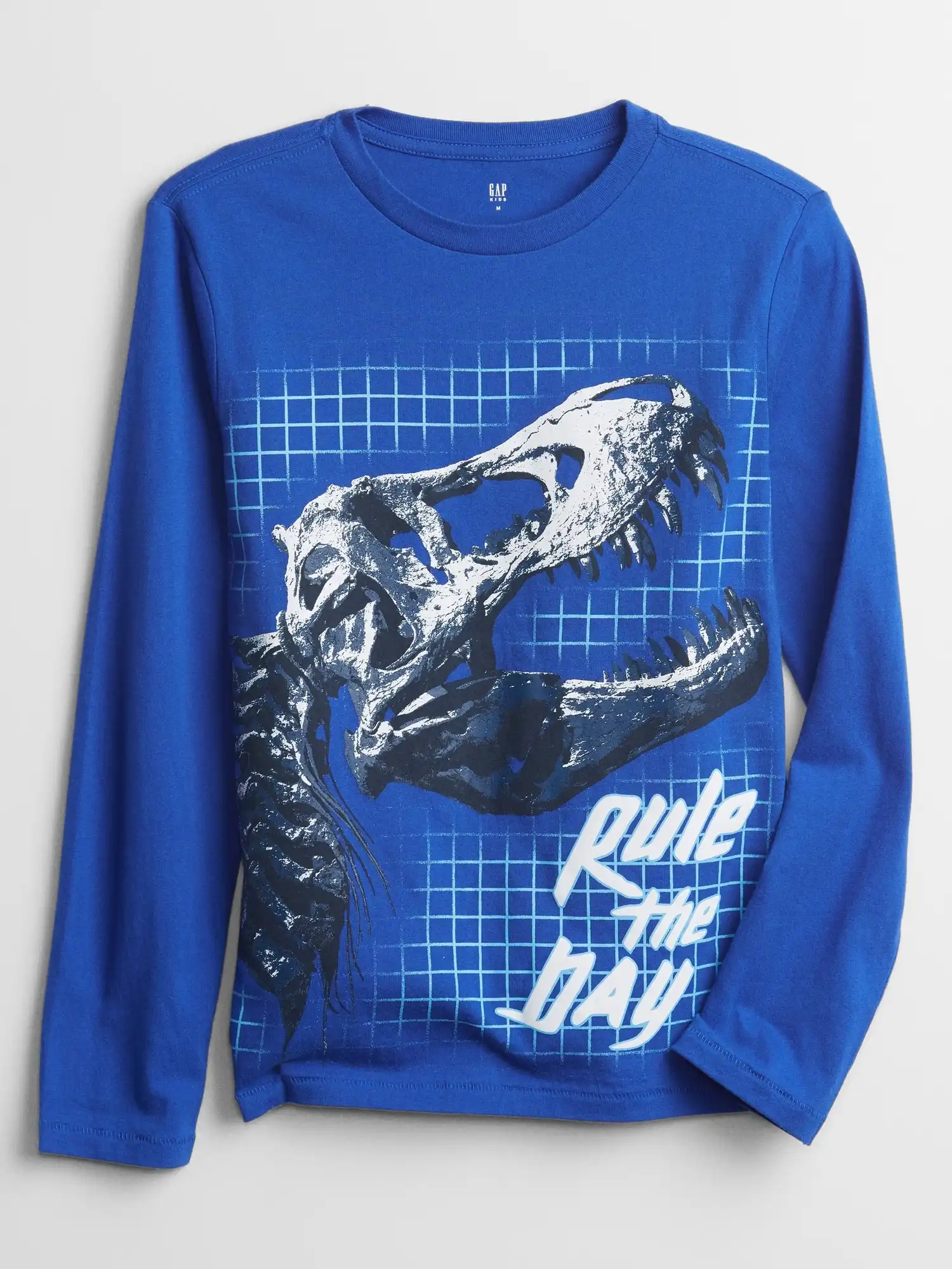 Remera ML Dino GAP - 14/16
